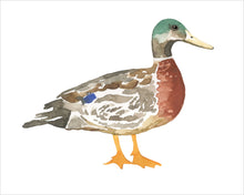 Load image into Gallery viewer, Watercolor Nursery Art Print | Boy Nursery Decor | Duck Teddy Bear | Gingham