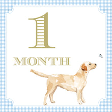 Load image into Gallery viewer, Preppy and Classic Boy Watercolor Milestone Cards