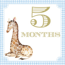 Load image into Gallery viewer, A giraffe sitting down next to the number 5, with the text "5 MONTHS" below it.