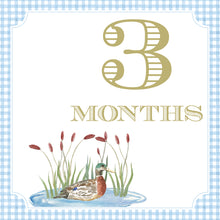 Load image into Gallery viewer, Preppy and Classic Boy Watercolor Milestone Cards