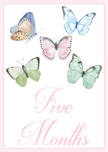 Load image into Gallery viewer, five colorful butterflies, with the text "Five Months" written below them.