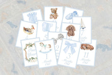 Load image into Gallery viewer, A collection of baby milestone cards, each depicting a different age and corresponding baby item, such as clothing, toys, and accessories.