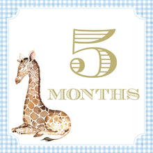 Load image into Gallery viewer, Preppy and Classic Boy Watercolor Milestone Cards