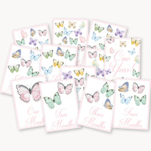 Load image into Gallery viewer, Butterfly baby milestone cards in soft pink, full set of monthly cards