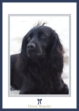 Load image into Gallery viewer, Watercolor Bow Christmas Card