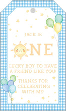 Load image into Gallery viewer, One Happy Baby Gift Tags