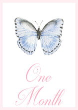 Load image into Gallery viewer, Watercolor Butterfly Baby Milestone Cards