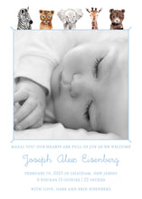 Load image into Gallery viewer, Personalized Safari Animals Birth Announcement | Classic Gingham
