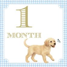 Load image into Gallery viewer, A golden retriever puppy is depicted in the image, with a butterfly nearby, and the text "1 MONTH" is shown.
