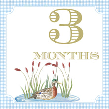 Load image into Gallery viewer, The image is a watercolor painting of a duck sitting in a pond, with the number "3" and the word "MONTHS" written above it.
